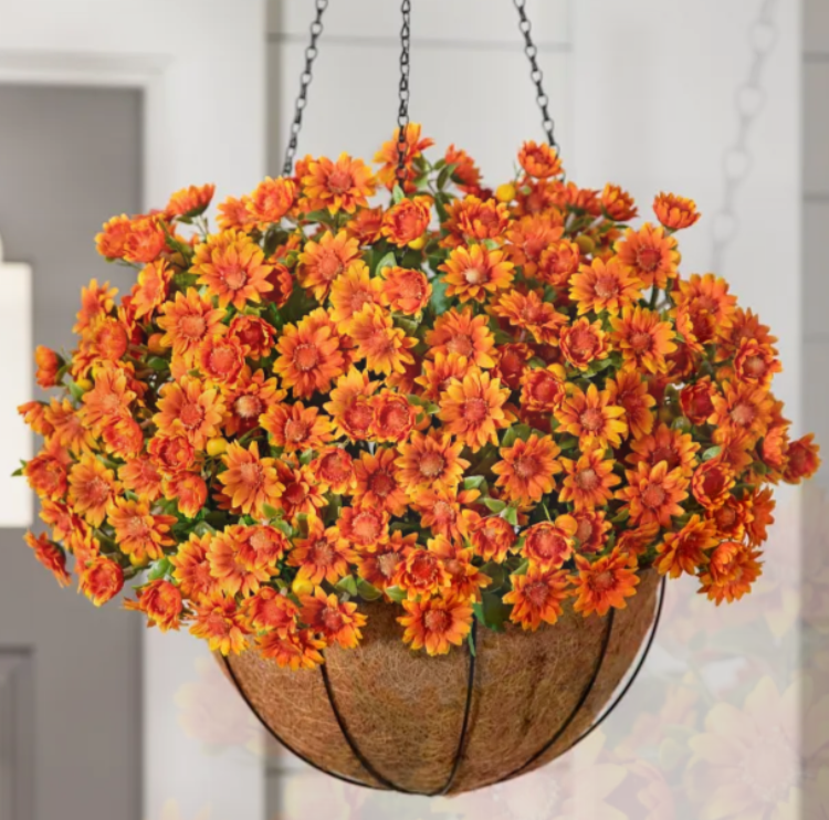 MUMS - 2025 FALL FUNDRAISER supporting SLC